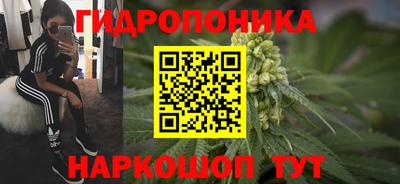 крисы Бузулук