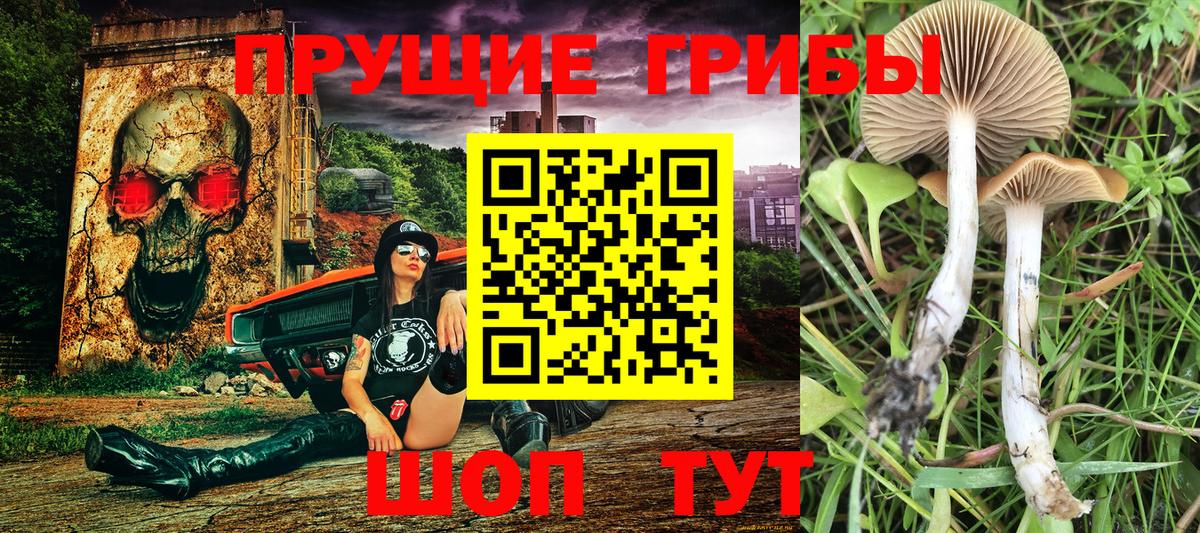 Пыть-Ях  Галлюциногенные грибы Psilocybine cubensis  закладки  Вход с VPN 